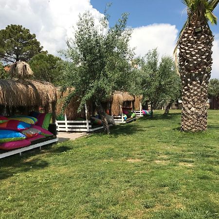Palm Beach Otel Kucukkuyu Bagian luar foto